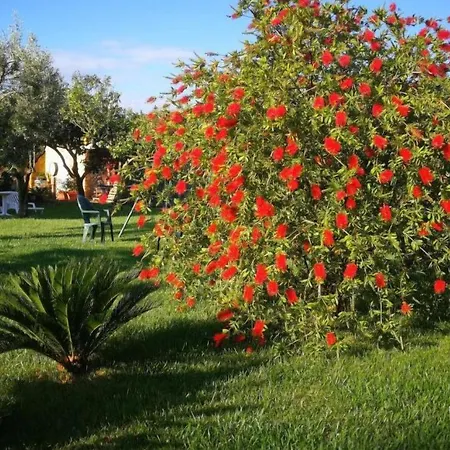 Bed & Breakfast Fiori Di Pesco