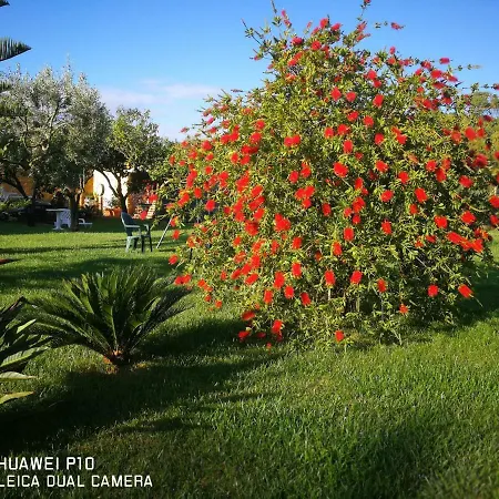 Fiori Di Pesco Bed & Breakfast Fertilia