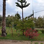 Bed & Breakfast Fiori Di Pesco
