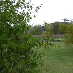 Fiori Di Pesco Fertilia