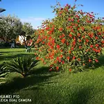 Fiori Di Pesco Bed & Breakfast Fertilia