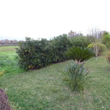 Fiori Di Pesco B&B 3*