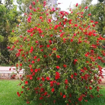 B&B Fiori Di Pesco