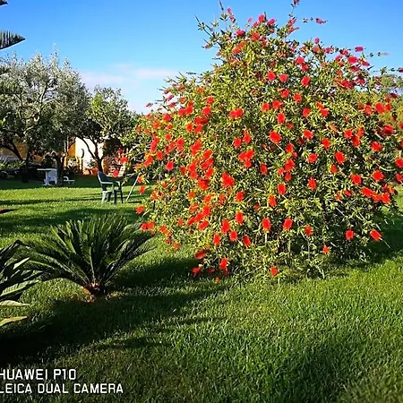 Fiori Di Pesco Bed & Breakfast 3*