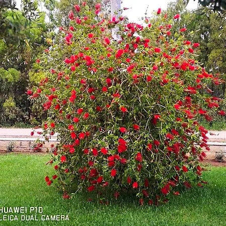 Fiori Di Pesco Bed & Breakfast