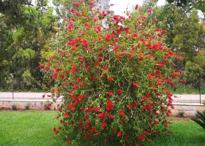 Panzió Fiori Di Pesco