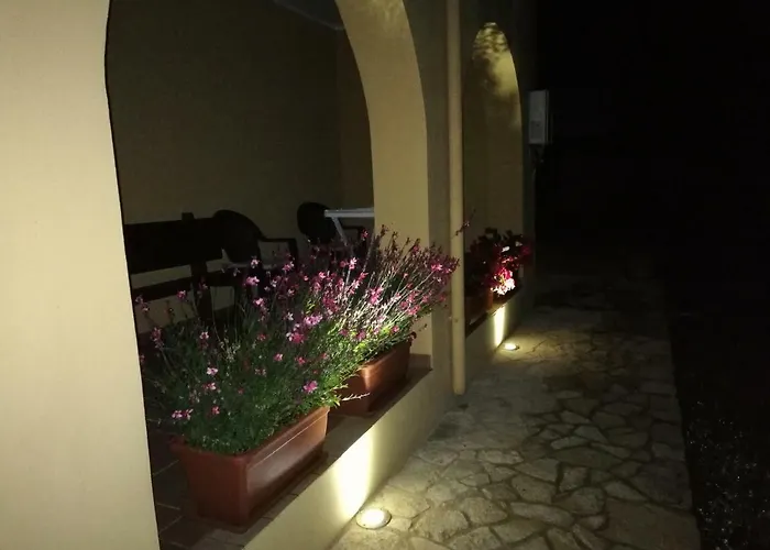 Fiori Di Pesco